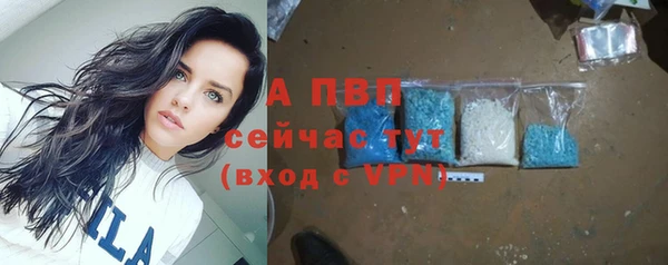 стаф Абаза