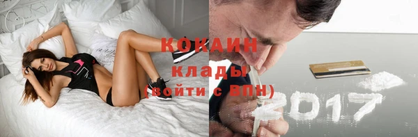 дживик Россошь