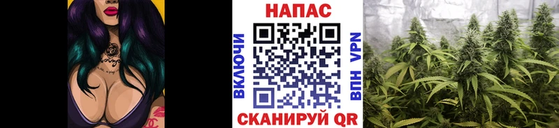 Канабис сатива  сколько стоит  Нефтегорск 
